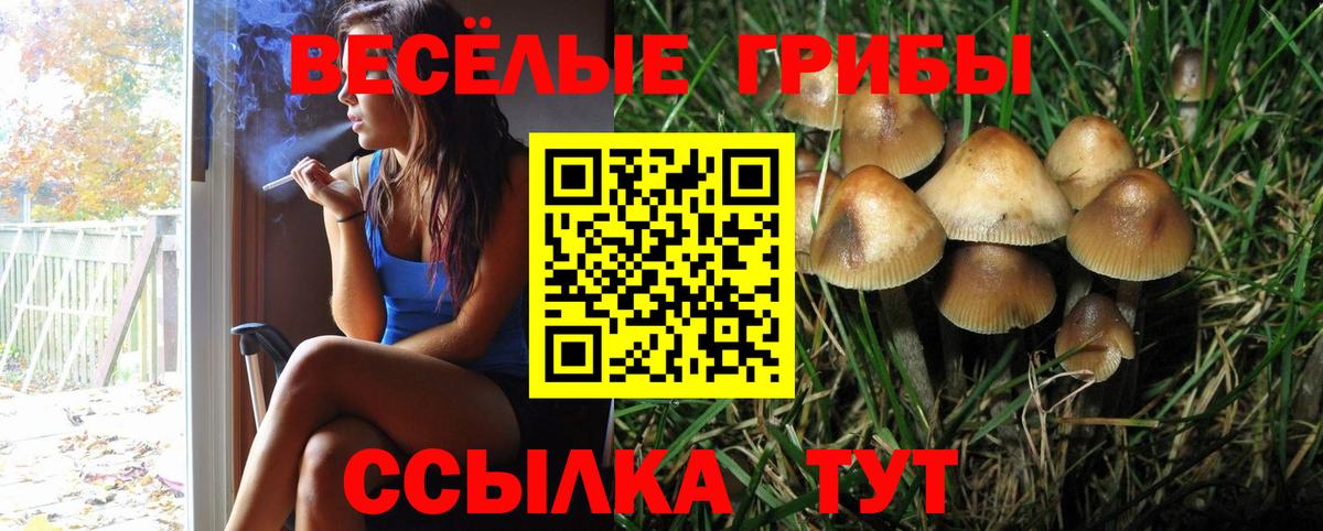 Конопля Менделеевск