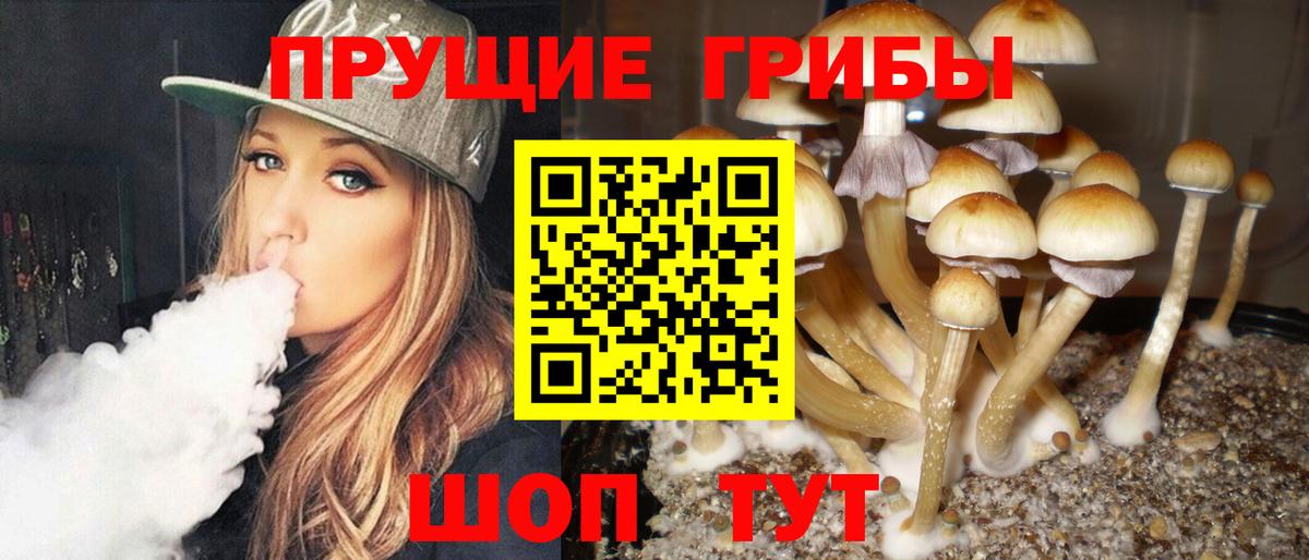 Псилоцибиновые грибы GOLDEN TEACHER Менделеевск