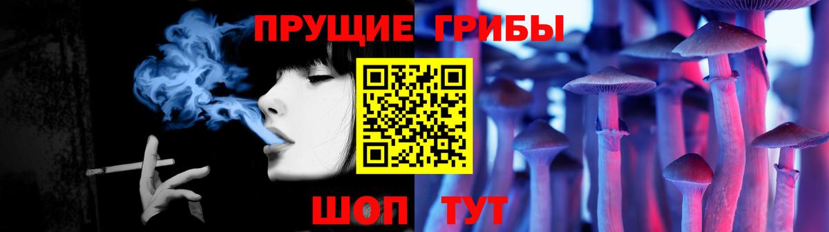 где купить наркоту  Галлюциногенные грибы Psilocybine cubensis  Вход с VPN  Менделеевск 